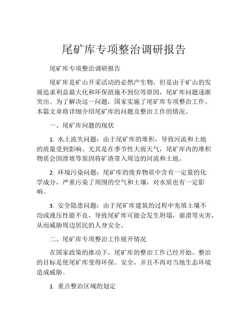 尾矿库专项整治调研报告