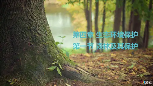 课件17：4.1 森林及其保护