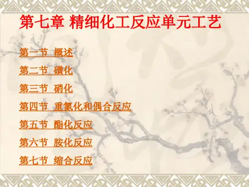 《化学工艺学》(第2版) 浙江大学 第七章 精细化工反应单元工艺