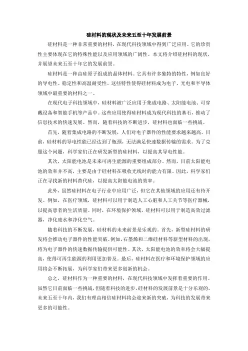 硅材料的现状及未来五至十年发展前景