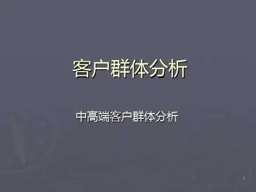 客户群体分析和中高端客户分析