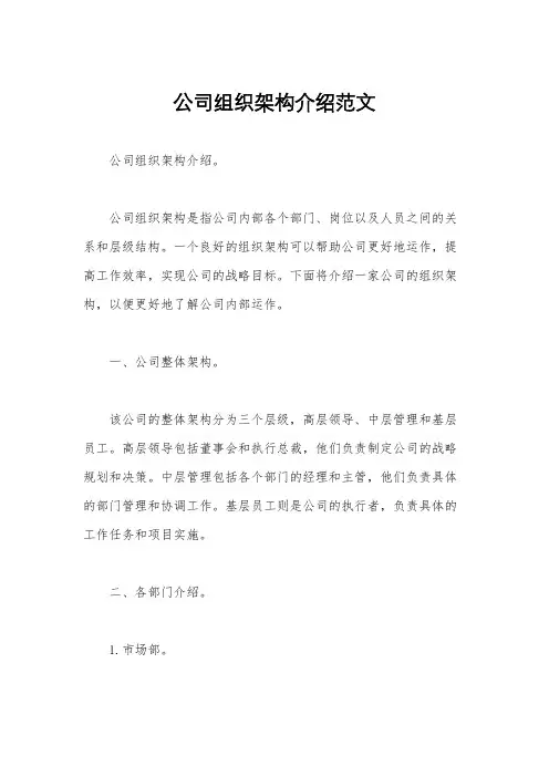公司组织架构介绍范文
