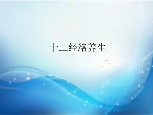 十二经络养生课件PPT课件