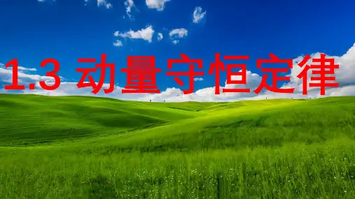 动量守恒定律ppt课件