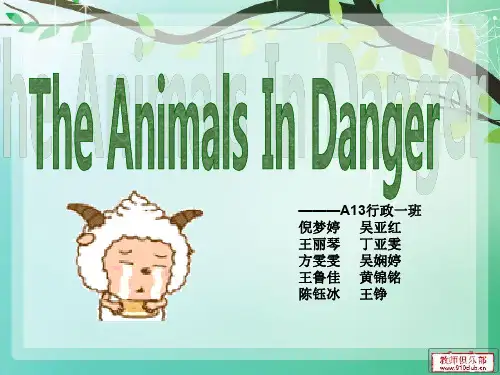 濒危动物介绍英语PPT
