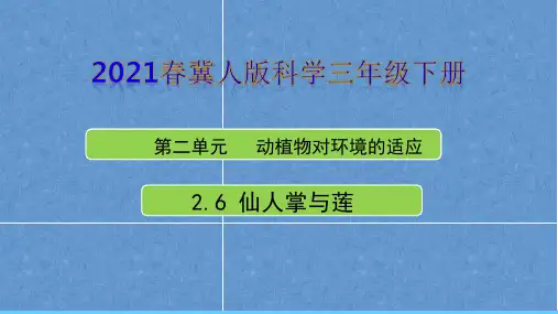 2021年冀人版三年级科学下册第二单元《动植物对环境的适应》单元教学课件