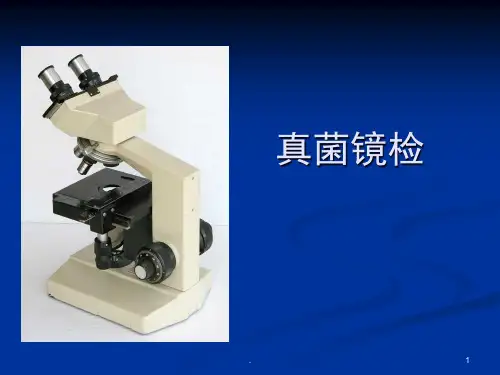 真菌镜检PPT课件