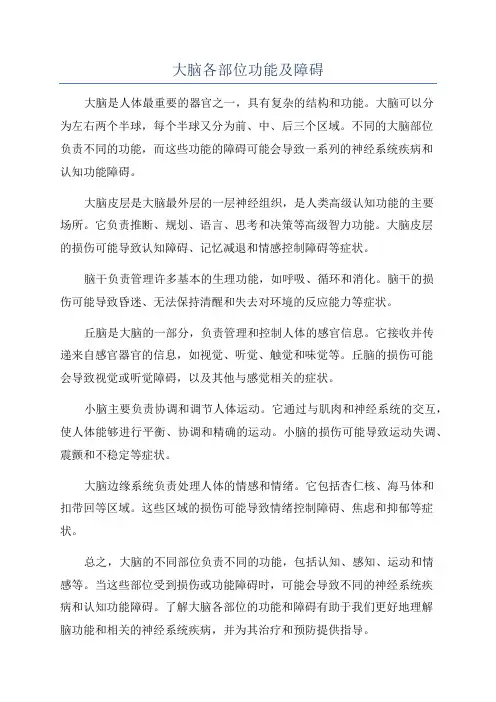 大脑各部位功能及障碍