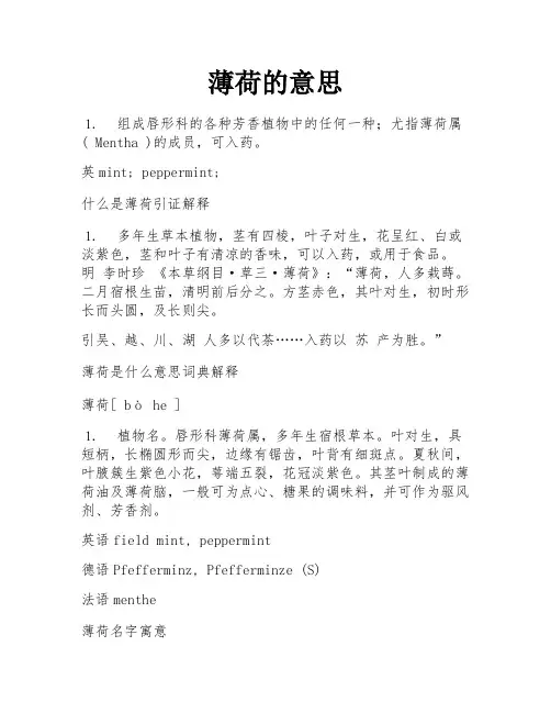 薄荷的意思