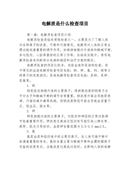 电解质是什么检查项目