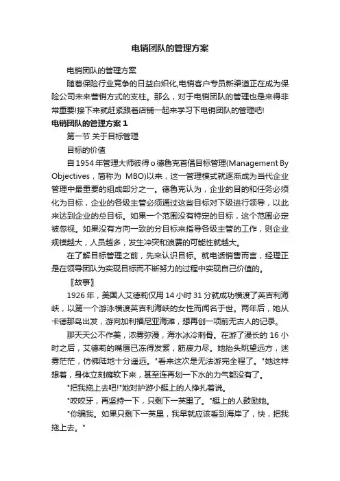 电销团队的管理方案