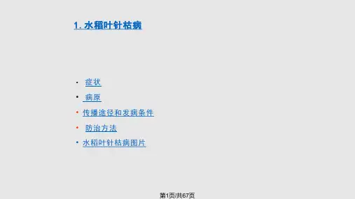 水稻的病虫防治PPT课件