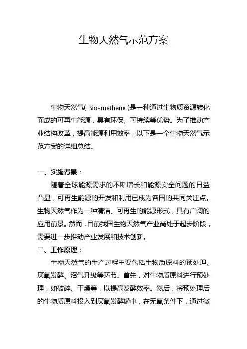 生物天然气示范方案(四)