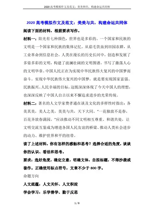 2020高考模拟作文及范文：美美和共,构建命运共同体