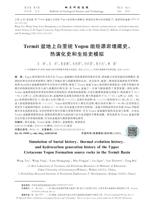 Termit盆地上白垩统Yogou组烃源岩埋藏史、热演化史和生烃史模拟
