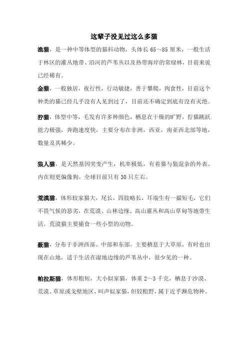 这辈子没见过这么多猫