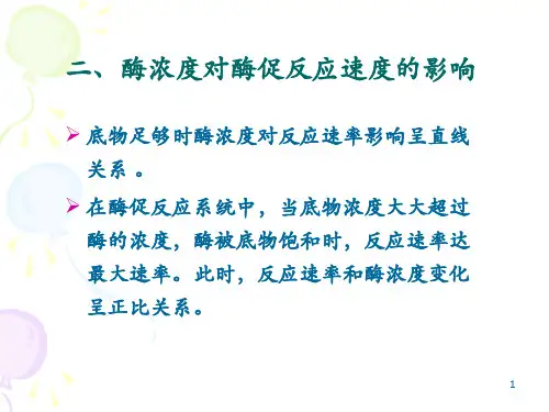 二、酶浓度对酶促反应速度的影响