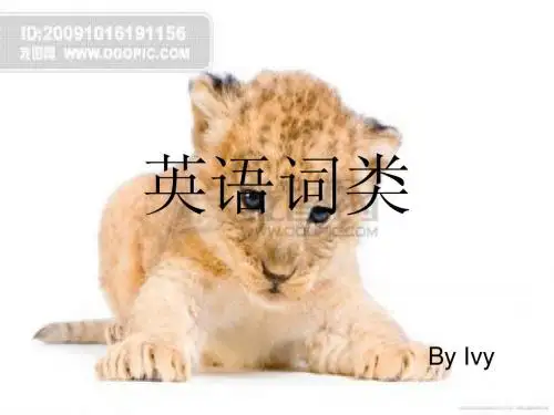 英语词类