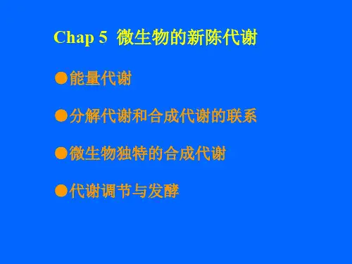 第五章微生物的代谢与发酵