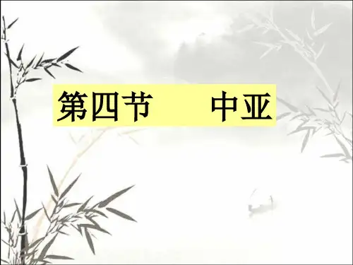 中亚 PPT课件