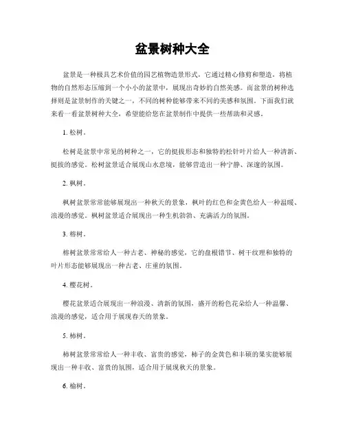 盆景树种大全