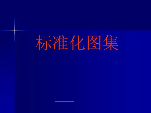 施工现场安全生产标准化图集