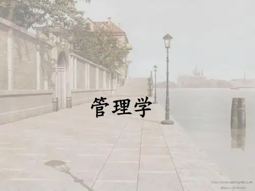 管理学 11.组织1  ppt