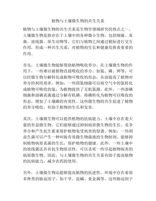 植物与土壤微生物的共生关系