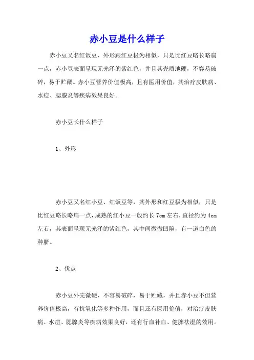 赤小豆是什么样子
