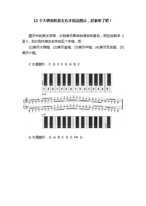 12个大调音阶及左右手指法图示，赶紧收了吧！
