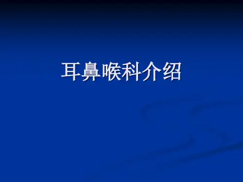 耳鼻喉科介绍