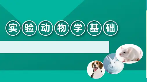 实验动物标准化