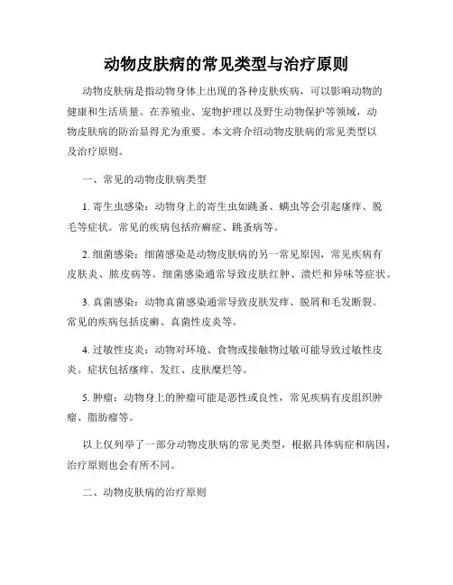 动物皮肤病的常见类型与治疗原则