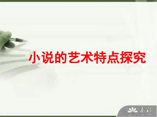 小说艺术特点的探究分析