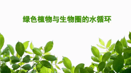 3.3 绿色植物与生物圈的水循环 说课稿-人教版七年级生物上册