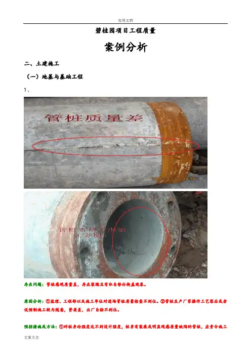 碧桂园项目工程高质量案例分析报告