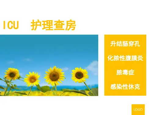 ICU护理查房精品PPT课件