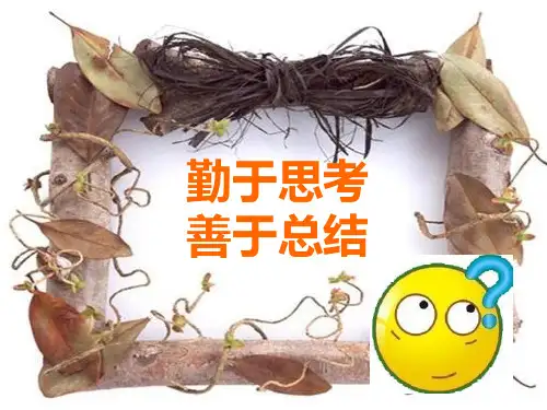 勤于思考,善于总结