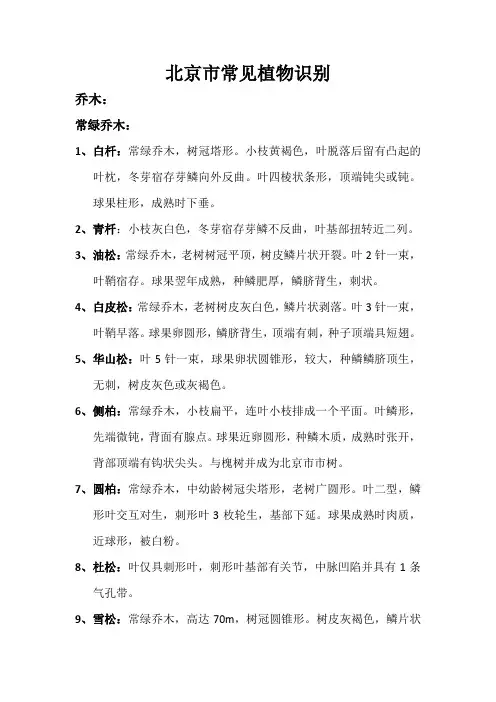 北京常见植物识别要点