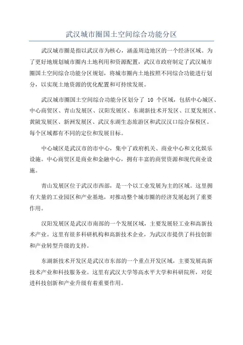 武汉城市圈国土空间综合功能分区