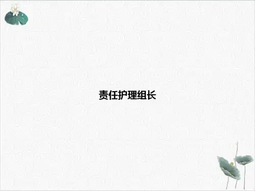 责任护理组长PPT.