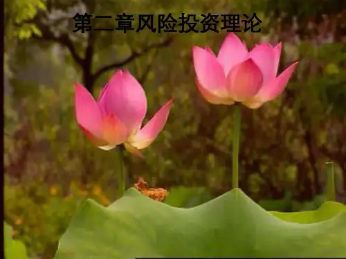 风险投资课件