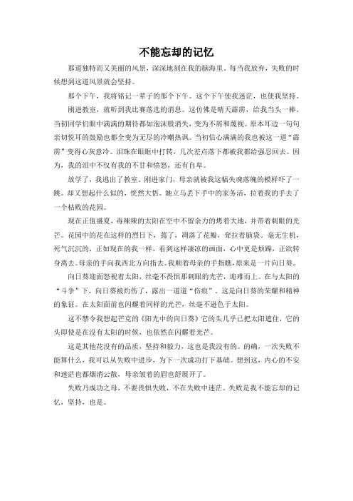 七年级学生作文《不能忘却的记忆》 (5)