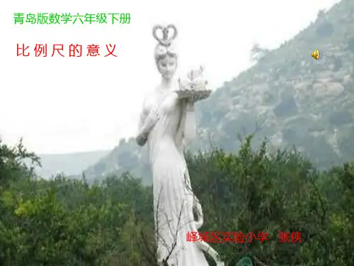第1课时 比例尺的意义