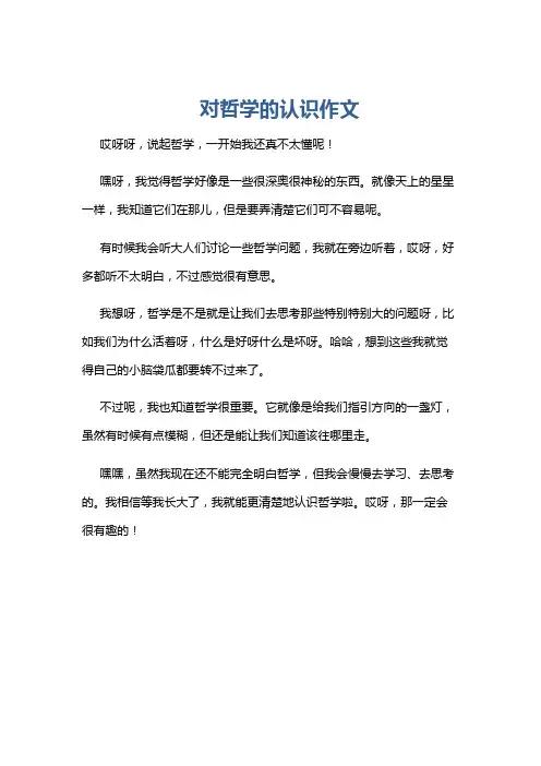 对哲学的认识作文