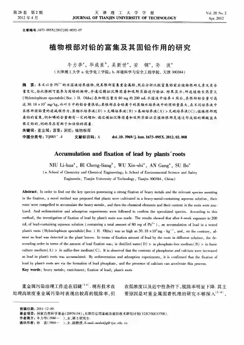 植物根部对铅的富集及其固铅作用的研究