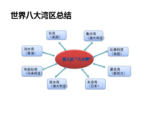 世界最牛八大湾区分析