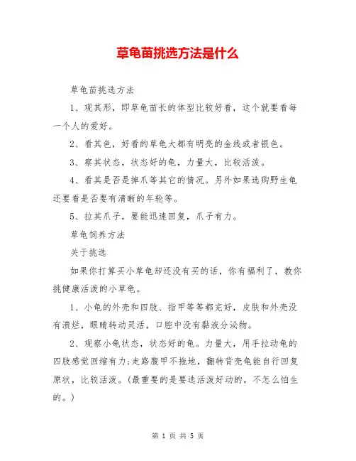 草龟苗挑选方法是什么