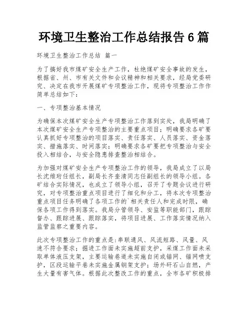 环境卫生整治工作总结报告6篇