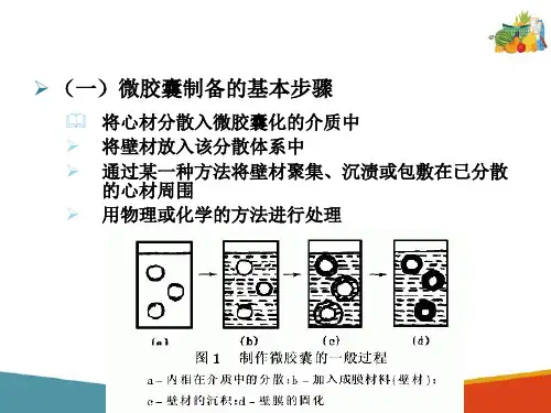 食品微胶囊造粒技术(食品高新技术课件)